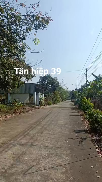 Đất nền Tân Hiệp 39, Tân Uyên 2900m² giá 680 triệu - Vị trí đẹp gần chợ, ngân hàng