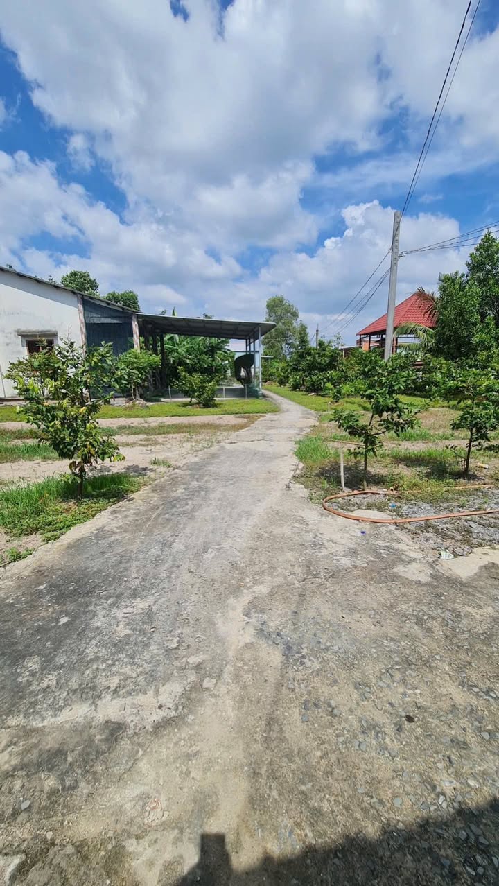 Đất thổ cư xã Mỹ Lộc, Cần Giuộc 70m² giá 530 triệu - Cơ hội vàng đầu tư!