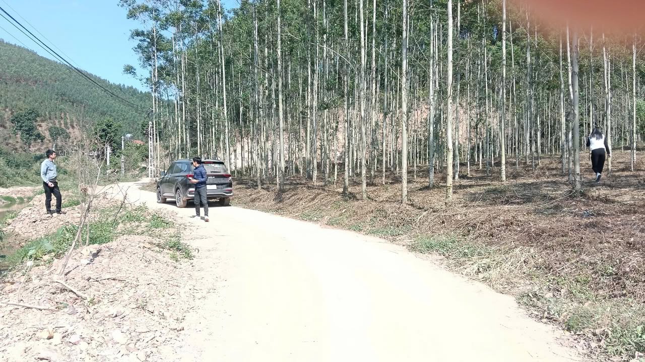 Đất nền xã Đồng Tiến, Yên Thế, Bắc Giang 329m² giá 299 triệu - Sổ đỏ chính chủ sang tên ngay!