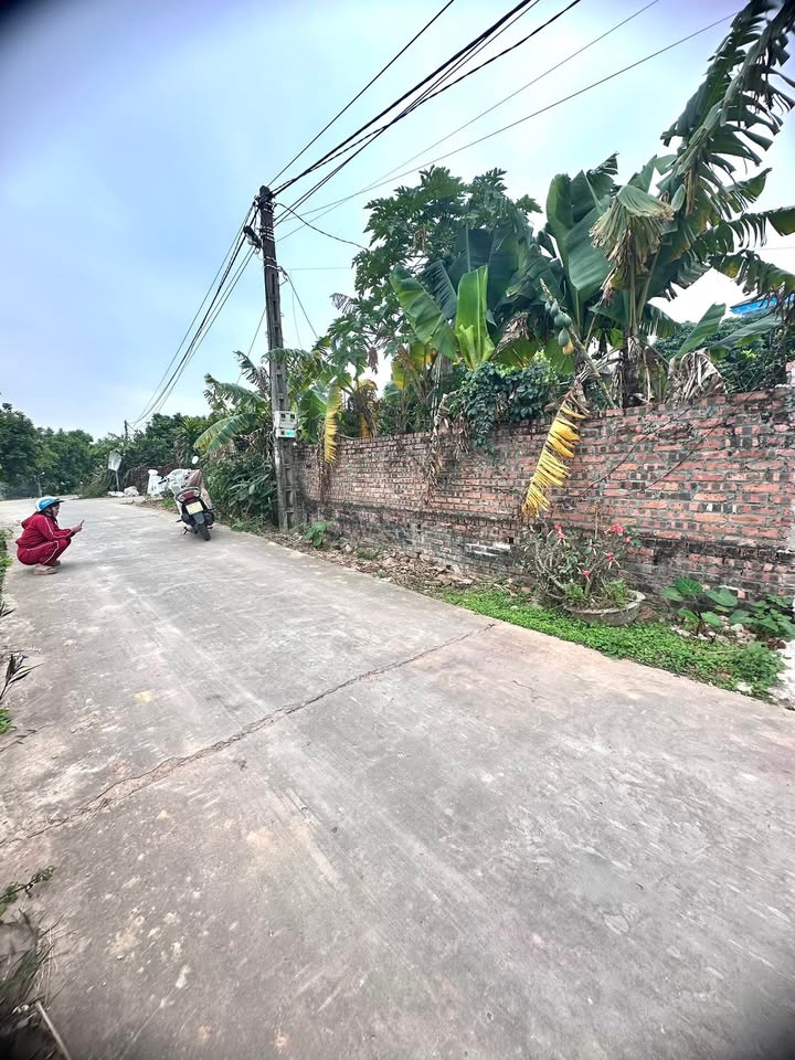 Đất nền Hợp Đức, Tân Yên, Bắc Giang 100m² chỉ 400 triệu - Cơ hội đầu tư hấp dẫn!