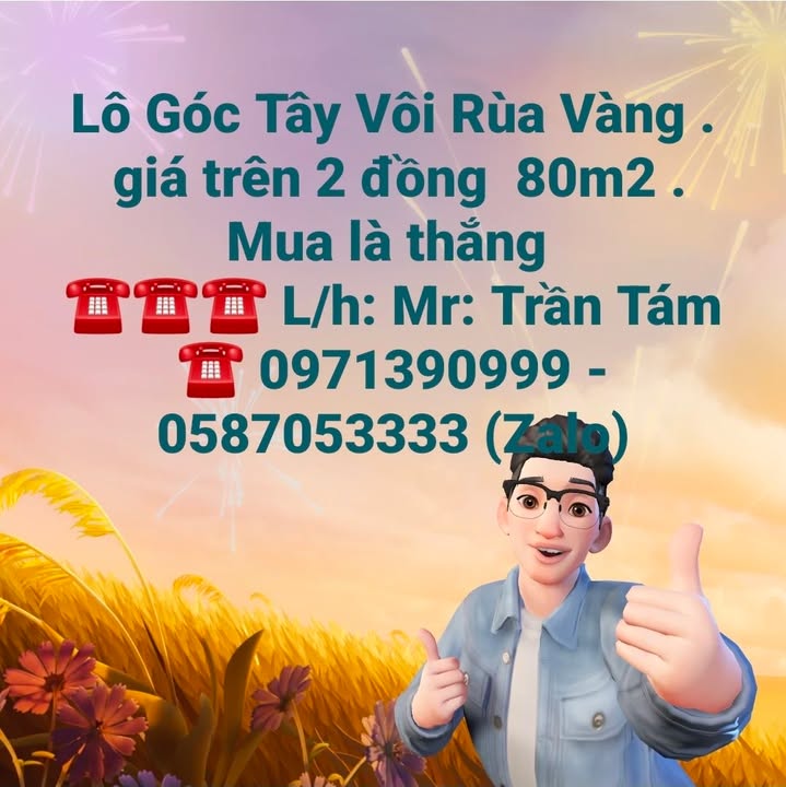 Đất nền Lô Góc Rùa Vàng 80m² giá 2.8 tỷ - Đầu tư sinh lời ngay!