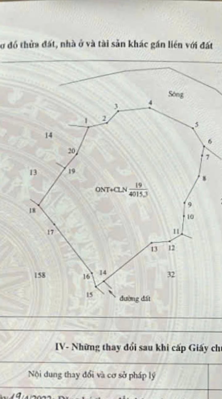 Farm 4000m² tại Tam Tiến, Yên Thế - Giá chỉ 2 tỷ, cơ hội đầu tư hấp dẫn!
