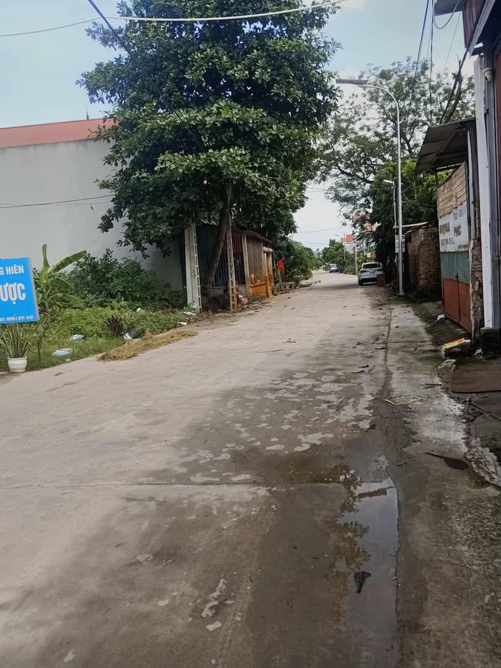 Đất nền Xã Xương Lâm, Huyện Lạng Giang 100m² giá chỉ 1 tỷ - Cơ hội đầu tư hấp dẫn!