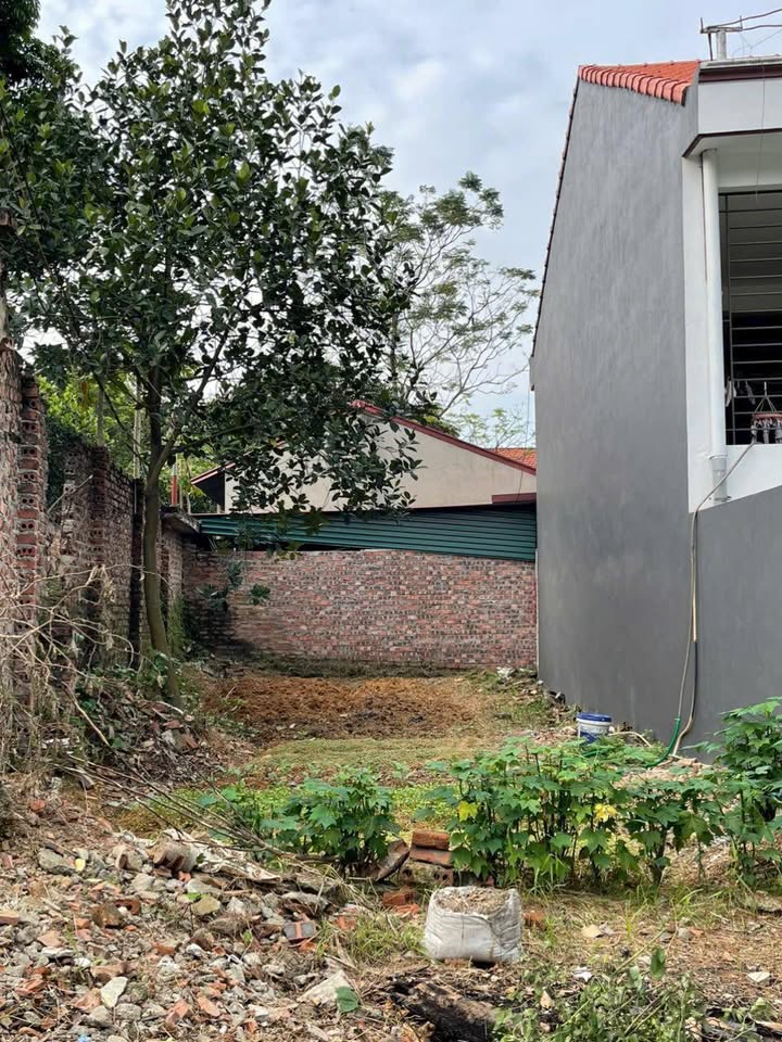 Đất nền Khu Liên Minh, Việt Trì 83m² giá chỉ dưới 2 tỷ - Cơ hội đầu tư hấp dẫn!