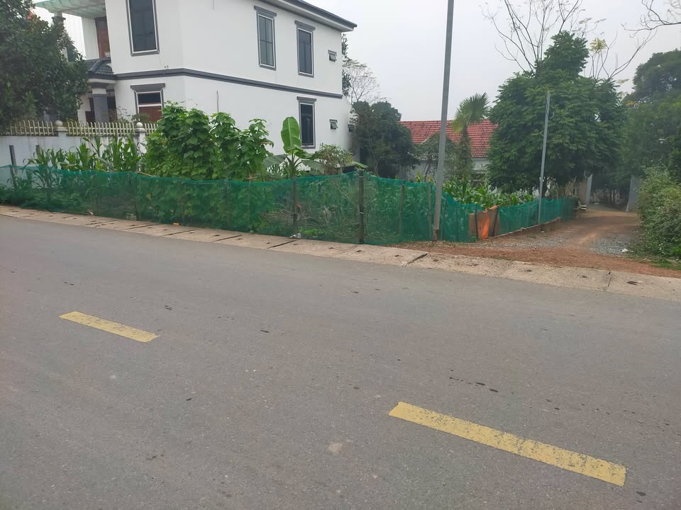 Đất nền khu 1 Thanh Đình 162m² giá 1 tỷ - Đầu tư sinh lời tuyệt vời!