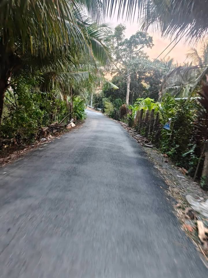 Đất nền 500m² Tân Phú, Cai Lậy - Giá 1.x tỷ, sẵn sàng đầu tư!