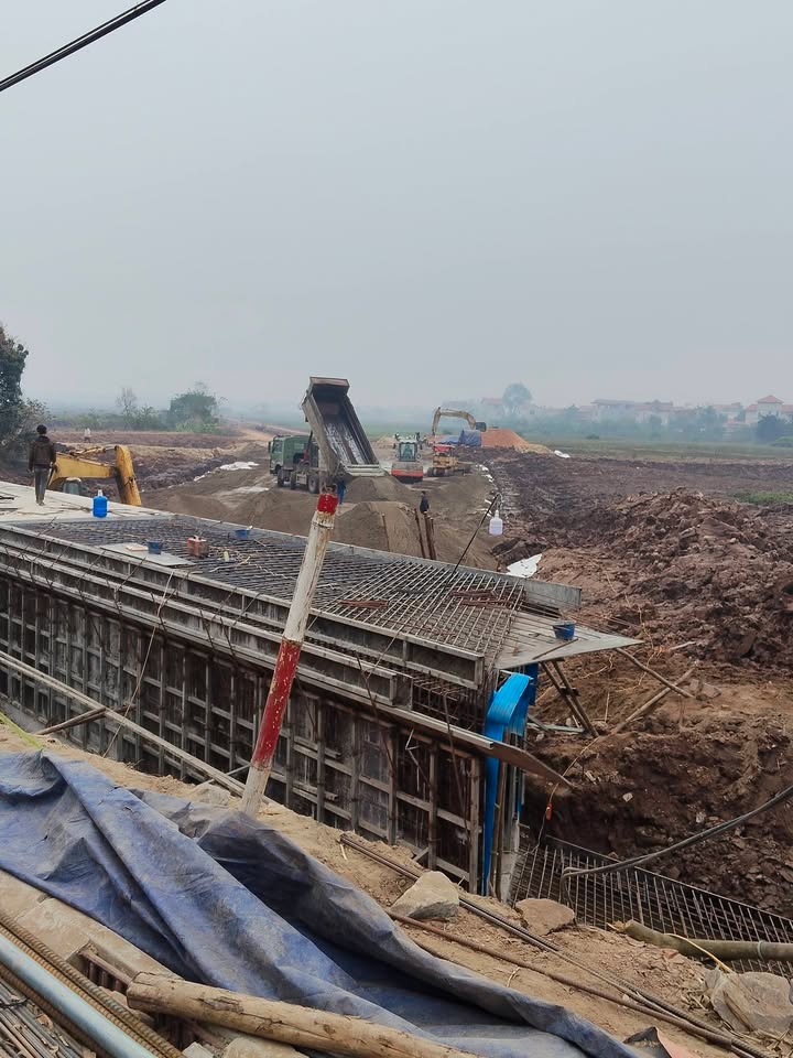 Đất thổ cư 125m² mặt tiền 6m tại Thọ Lão, Mê Linh - Kinh doanh sầm uất!