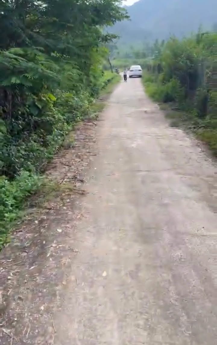 Đất thổ cư Yên Sơn, Thanh Sơn 1221m² chỉ 800 triệu - Cơ hội đầu tư lý tưởng!