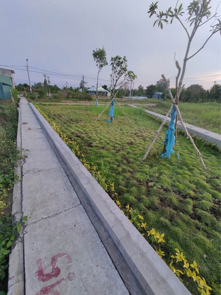 Đất nền KDC Cả Môn, Mỹ Trà 162m² giá 1.7 tỷ - Đầu tư sinh lời ngay!