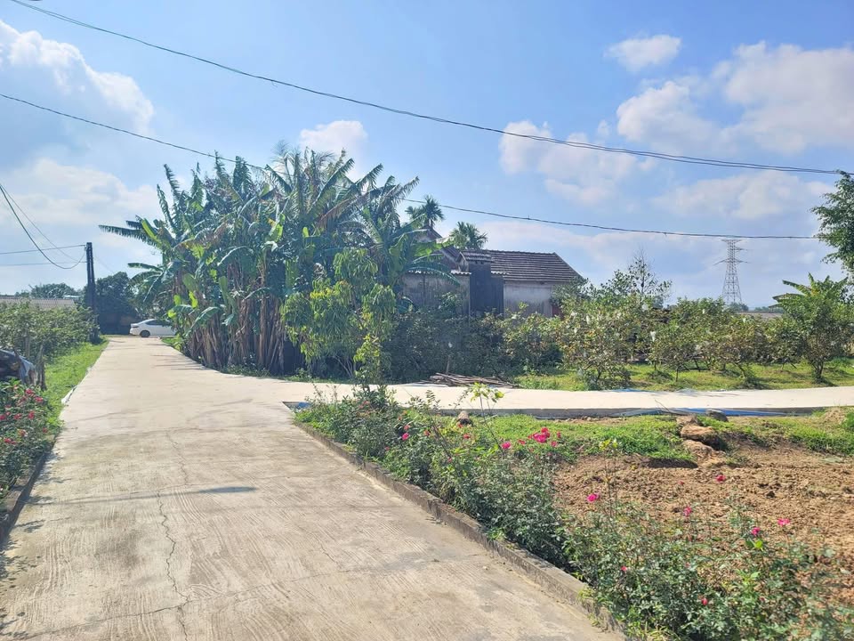 Đất nền Cam Thủy 540m² giá chỉ 600 triệu - Cơ hội đầu tư tuyệt vời!