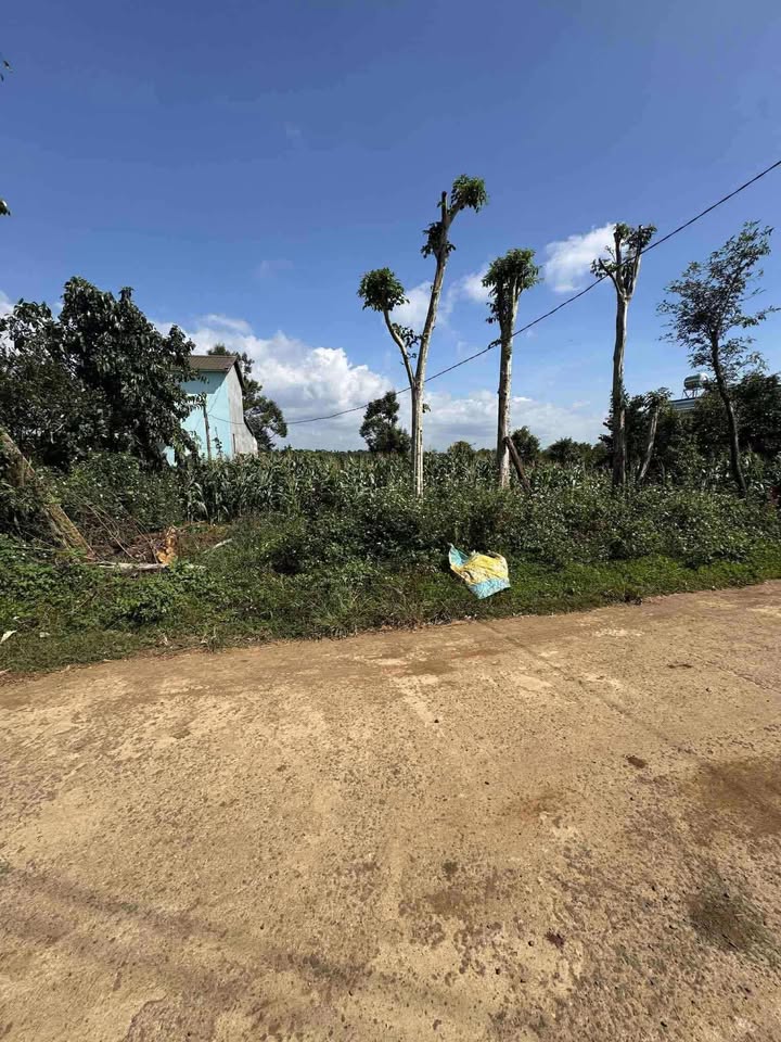 Đất thổ cư mặt tiền đường Yết Kiêu, Buôn Hồ 666m² - Cơ hội đầu tư sinh lời cao!