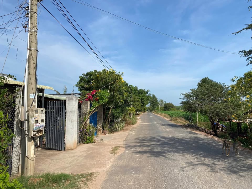 FrontHouse Xã Phước Thạnh 282m² giá 649 triệu - Đường thông dân cư đông đúc!