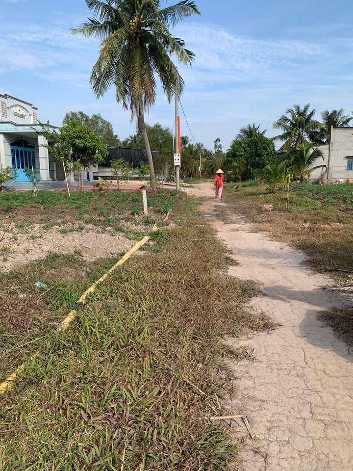 Đất nền 1034m² tại Ấp Bình Lương, Tây Ninh - Giá chỉ 3.1 tỷ, đầu tư sinh lời ngay!