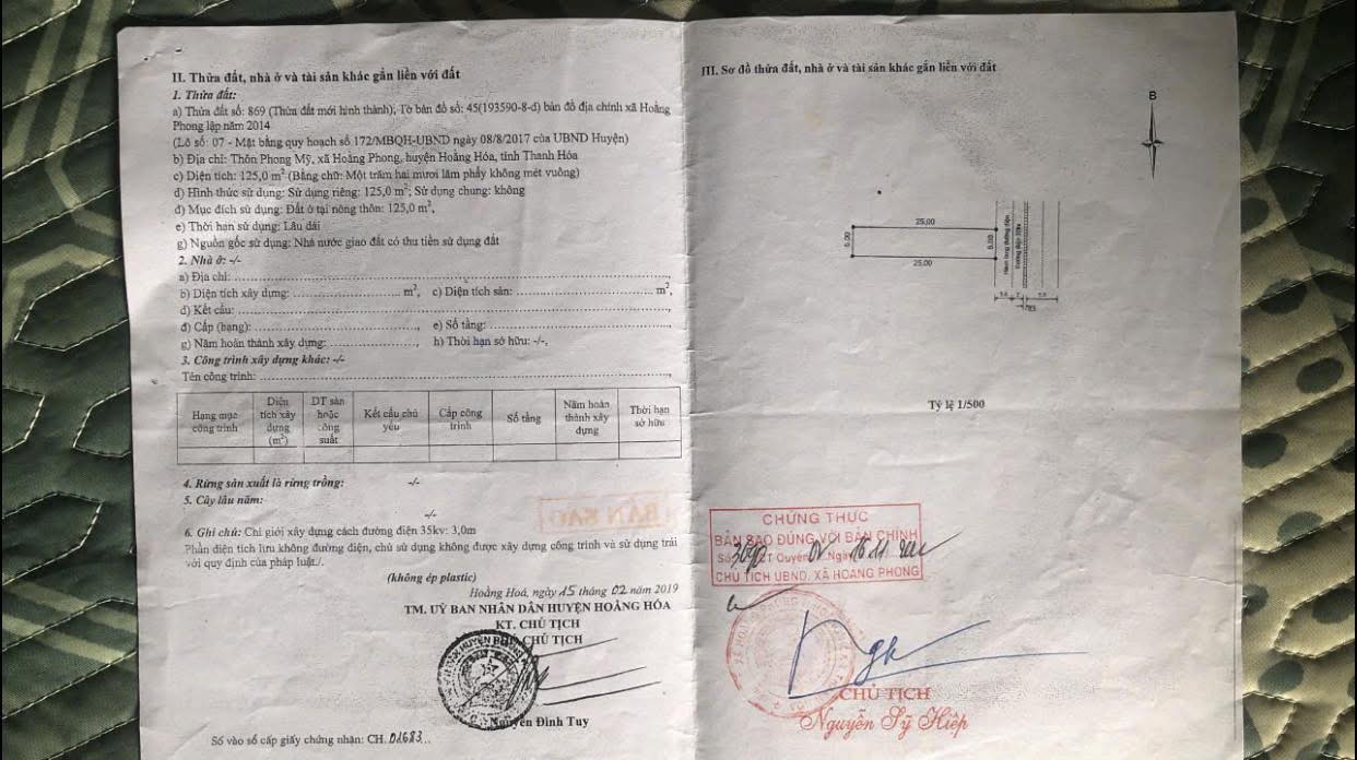 Đất nền Hoằng Phong 125m² giá chỉ 9xx triệu - Cơ hội đầu tư tuyệt vời!