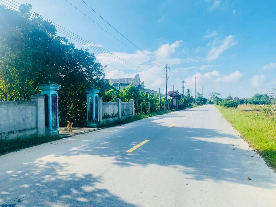 Đất nền mặt tiền Tỉnh lộ 6B, Phường Phong Hòa, 190m² chỉ 400 triệu - Cơ hội đầu tư tuyệt vời!