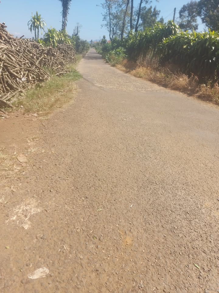 Nhà hẻm Trình Hoài Đức, Di Linh 450m² giá 1.15 tỷ - Pháp lý rõ ràng, cơ hội đầu tư tốt!