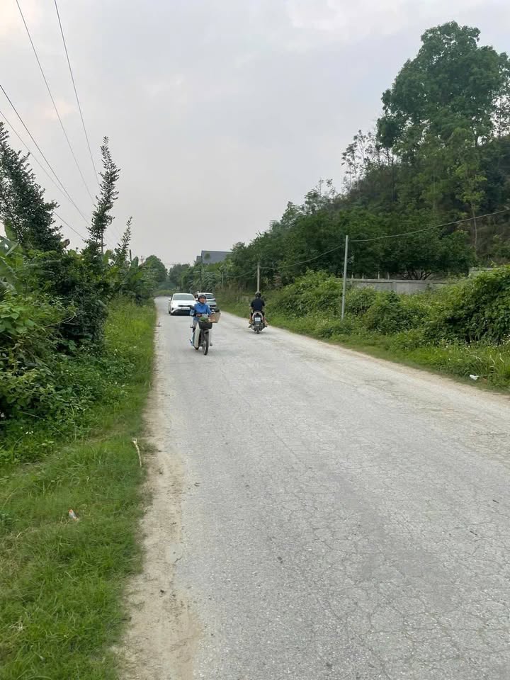 Đất thổ cư xã Chí Đám Đoan Hùng 310m² giá thỏa thuận - Vị trí đẹp gần bệnh viện!