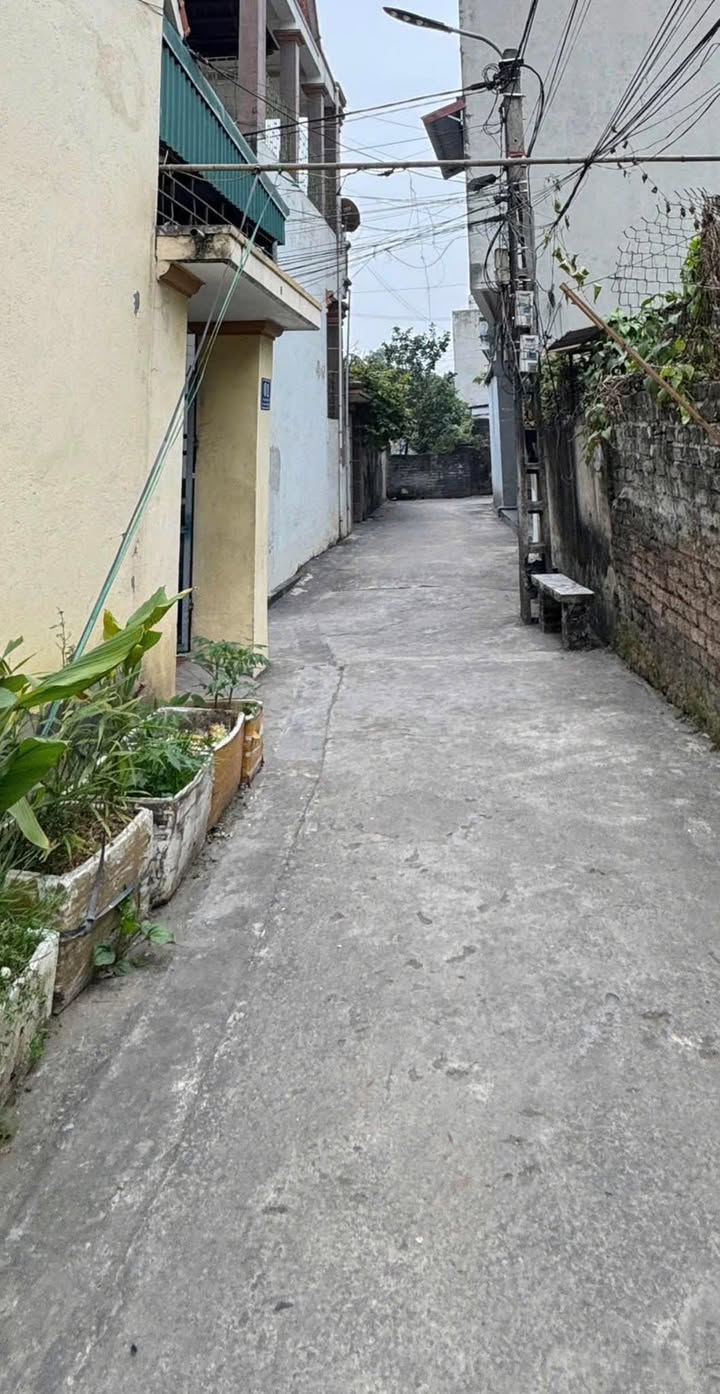 Đất nền Bích Đào 78m² giá chỉ 1.9 tỷ - Cơ hội vàng cho nhà đầu tư!