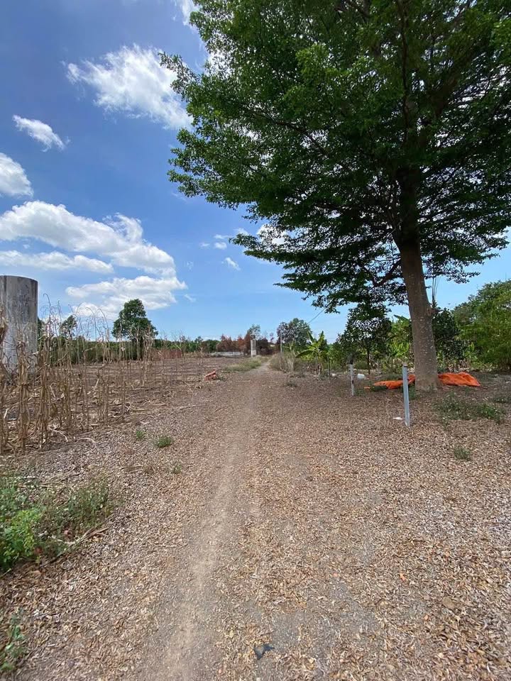 Đất nền 1 sào tại Quang Trung, Thống Nhất, Đồng Nai - Giá chỉ 750 triệu!