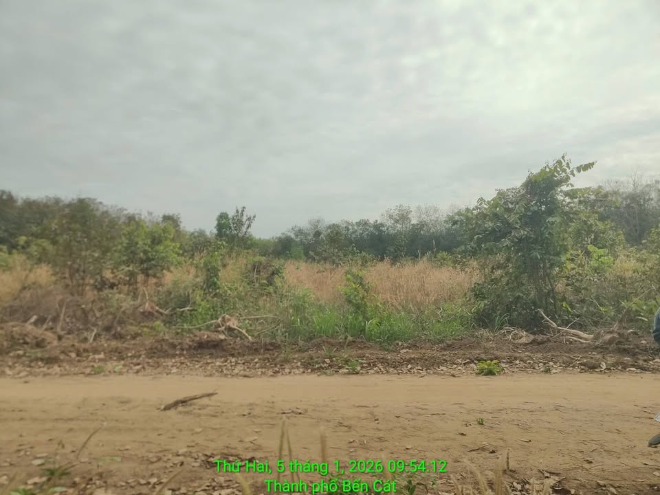 Đất nền An Điền Bến Cát 350m² giá 850 triệu - Đầu tư sinh lời ngay!