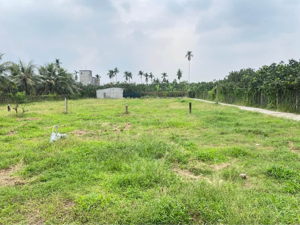 Đất nền Mỹ Phong, Mỹ Tho 85m² - Cần bán gấp, giá thỏa thuận!