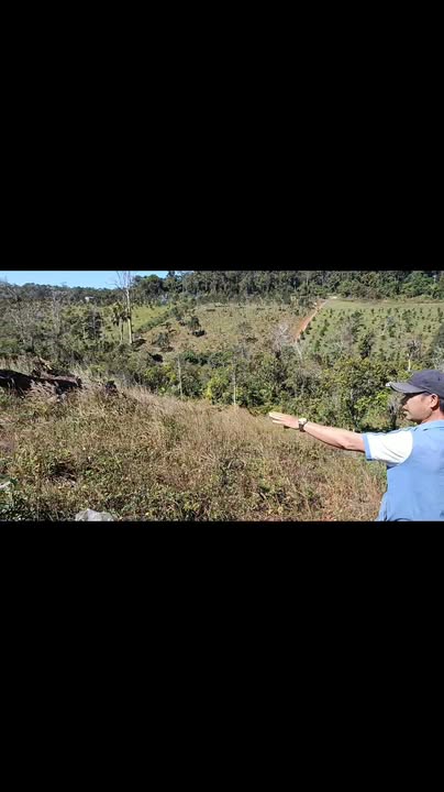 Đất nền 1,1 ha tại Đắk Song - Giá chỉ 450 triệu, cơ hội đầu tư tốt!