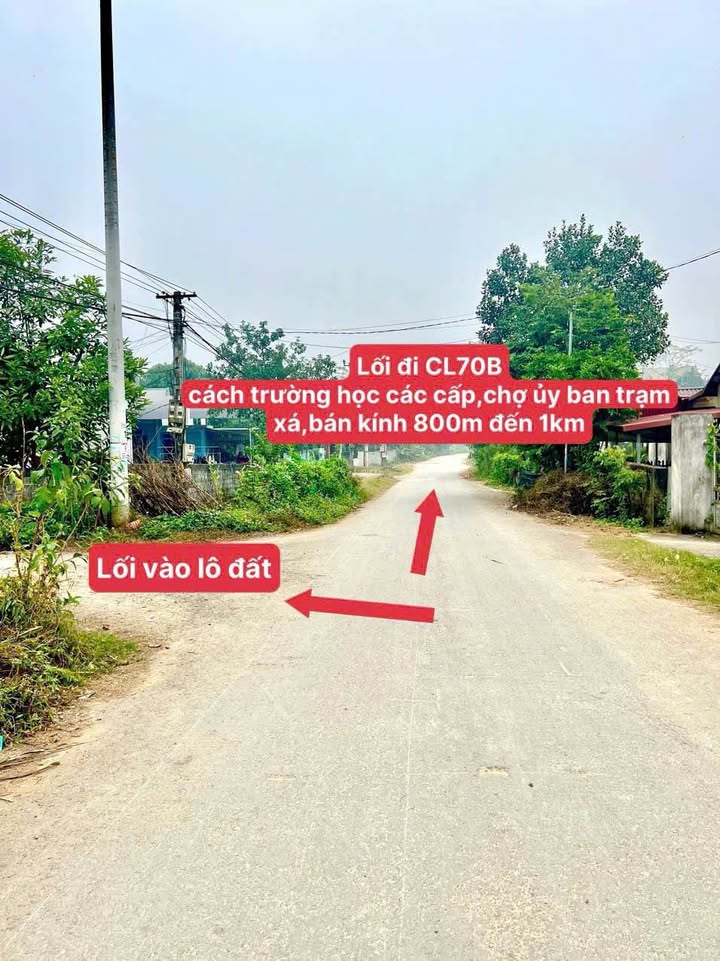 Đất thổ cư 300m² tại Yên Lập, Phú Thọ - Mặt tiền 10m, đầu tư sinh lời!