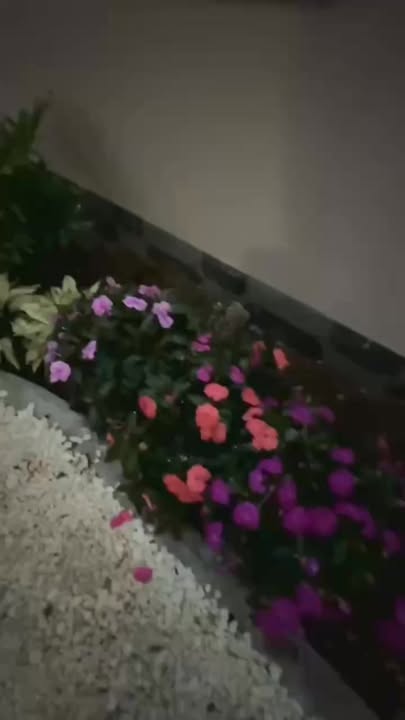 Nhà mới Tân cổ điển tại Hòa Thành, Tây Ninh 189m² giá 1.89 tỷ - Sân vườn thoáng đãng!