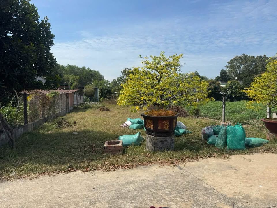 Đất thổ cư 250m² tại Thị trấn Châu Thành - Giá chỉ 250 triệu, cơ hội đầu tư hấp dẫn!