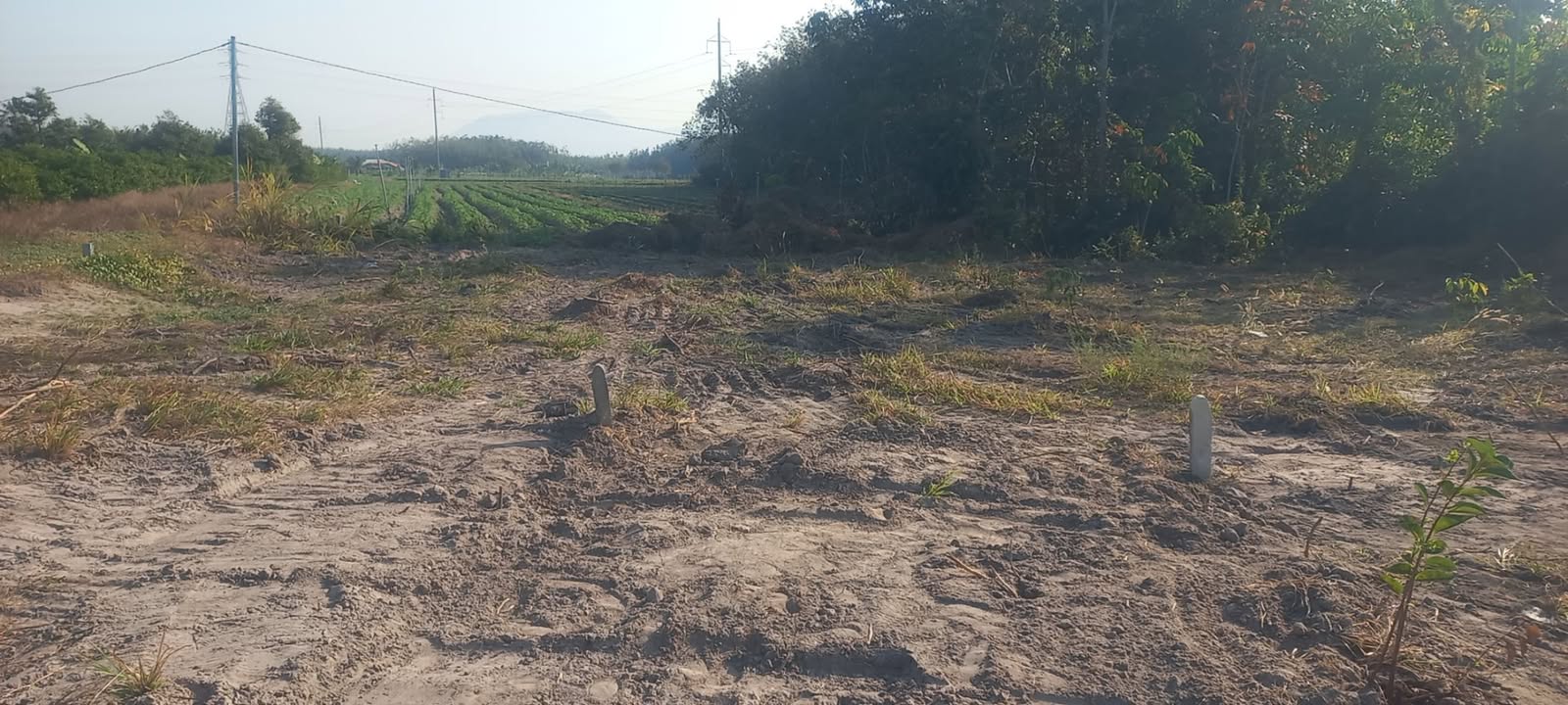 Đất nền 440m² tại Phường Ninh Sơn, TP. Tây Ninh - Giá chỉ 165 triệu!