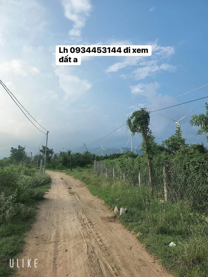 Đất nền Ba Tháp, Bắc Phong, Ninh Thuận 2000m² - Đầu tư sinh lời ngay!