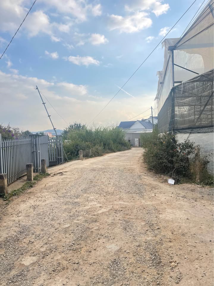 Lô đất thổ cư Đà Lạt 103m² giá 2.2 tỷ - View núi Langbiang hấp dẫn!