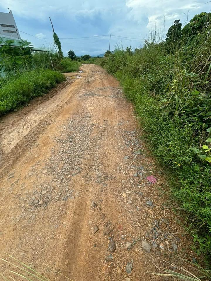 Đất Farm 15ha tại Ba Bàu, Hàm Thạnh - Giá thỏa thuận, phù hợp đầu tư!