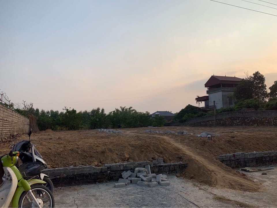 Đất thổ cư Lục Nam 239m² giá chỉ 9xx triệu - Đầu tư sinh lời nhanh!