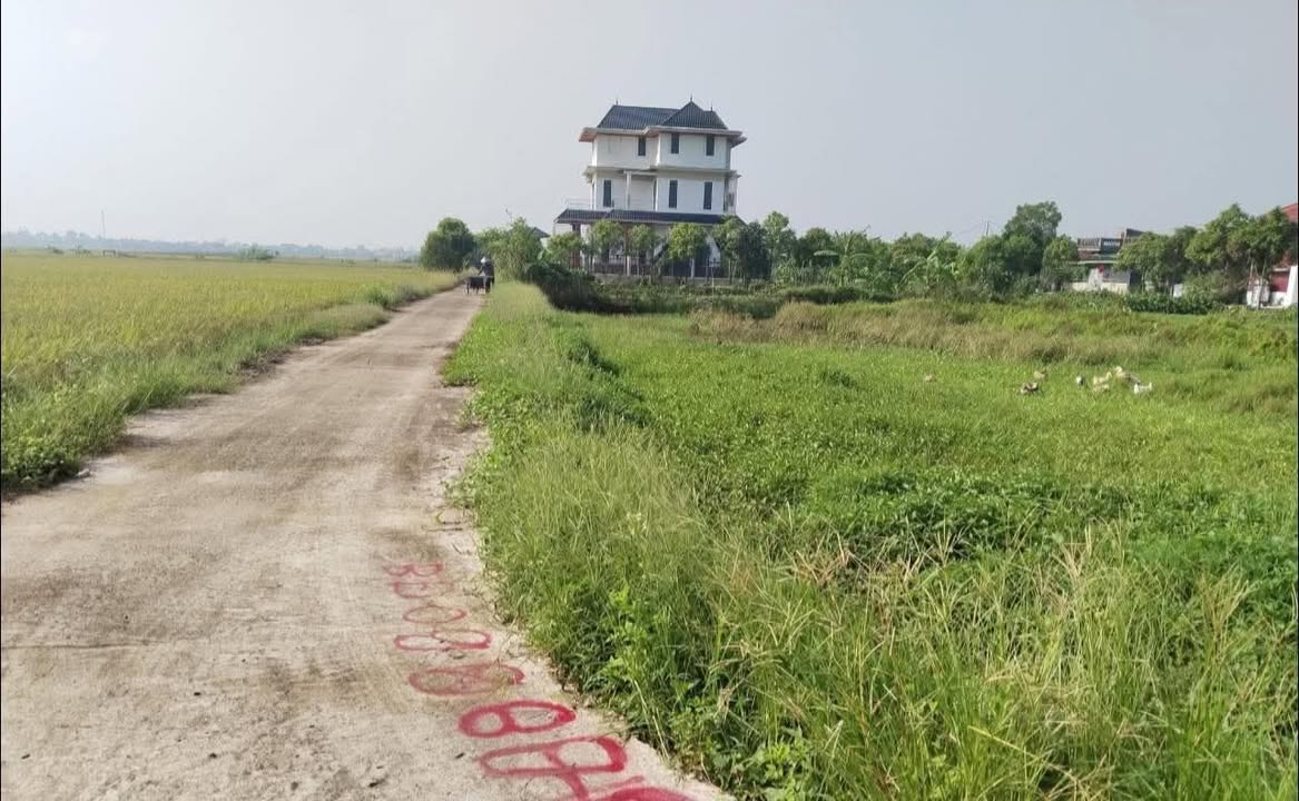 Đất nền Tây Sơn, Phường Trần Lãm, 100m² chỉ từ 700 triệu - Cơ hội đầu tư lý tưởng!