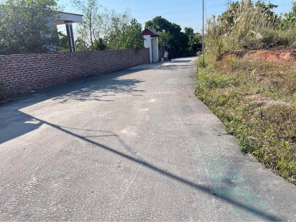 Đất nền 100m² tại Ngõ Bãi Dài, Thanh Sơn chỉ 800 triệu - Đường ô tô tải vào tận nơi!