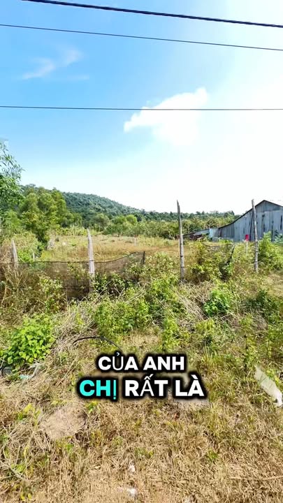 Đất nền 1000m² tại Suối Cát, Cam Lâm - Cơ hội đầu tư tuyệt vời!