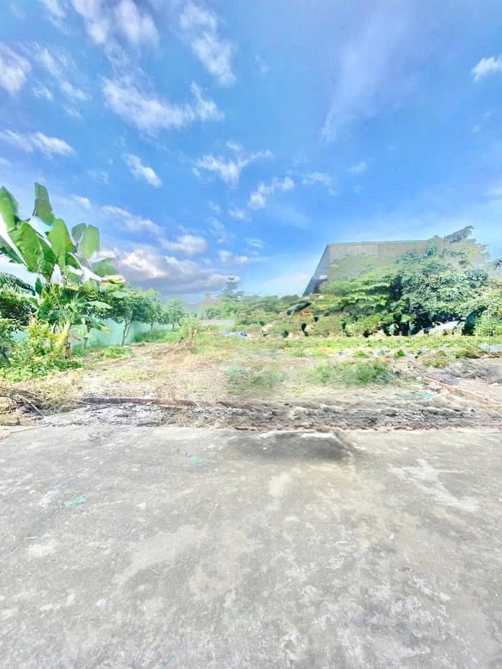 Đất mặt tiền sông Hà Huy Giáp, Thạnh Lộc, Quận 12, 104m² giá 3.8 tỷ - Tiềm năng đầu tư cao!