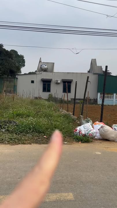 Lô đất 144m² Thọ Phú, Triệu Sơn giá chỉ 700 triệu - Đầu tư sinh lời ngay!