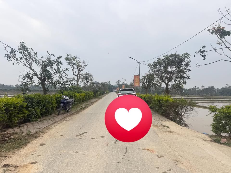 Đất nền xã Cẩm Thịnh, huyện Cẩm Xuyên 121,8m² giá 1,4 tỷ - Đường hiện trạng ô tô tránh nhau