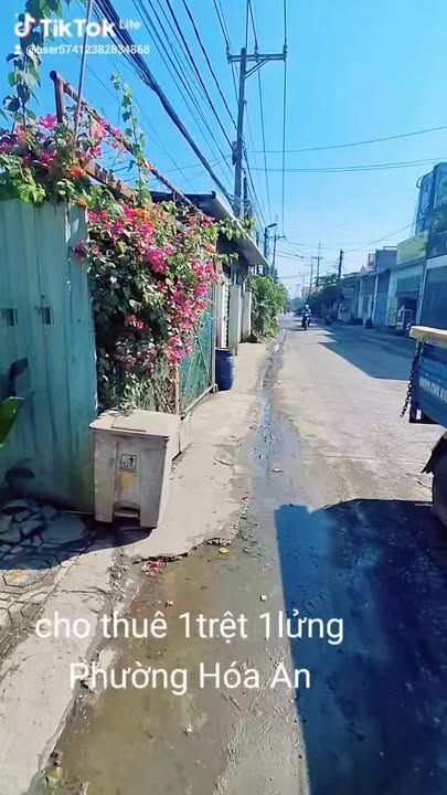 Nhà cho thuê 1 trệt 1 lửng tại đường Nguyễn Văn Lung, 100m² - Kinh doanh thuận lợi!