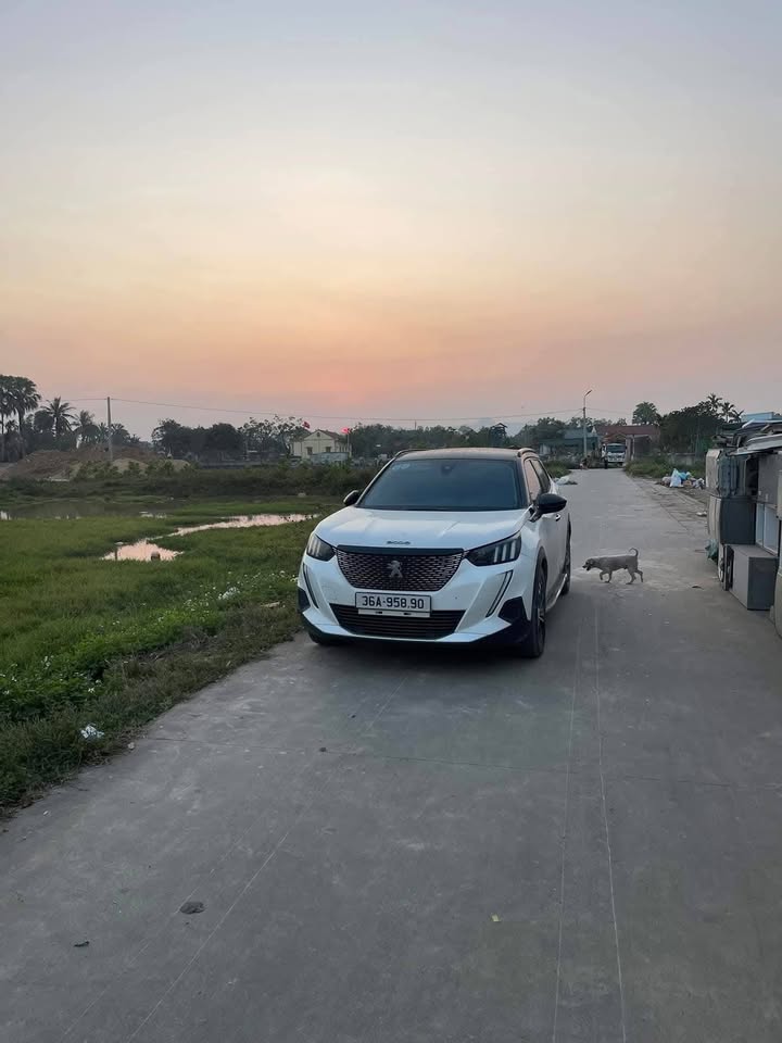 Đất nền thổ cư Thôn Quyết Thắng, Nông Cống 420m² - Cơ hội đầu tư tuyệt vời!