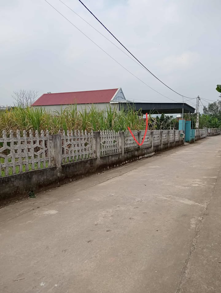 Đất nền chính chủ tại Hải Long, Như Thanh 174m² - Giá ưu đãi, xây dựng tự do!