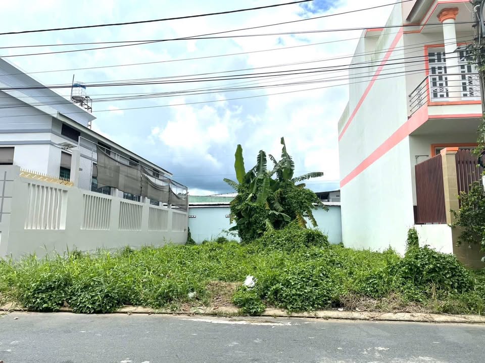 Bán đất nền biệt thự KDC Tây Đại Học 229m² giá chỉ 5 tỷ - Đối diện công viên xanh mát!