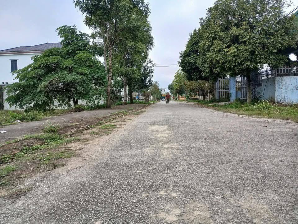 Đất nền 100m² tại Thị trấn Tân Phong, Quảng Xương - Cạnh dự án Ecopark khởi công!