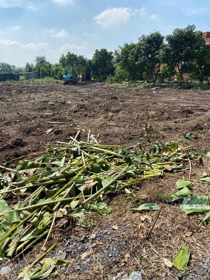 Đất thổ cư Nhựt Chánh, Bến Lức 1300m² giá 5.5 tỷ - Đầu tư sinh lời ngay!