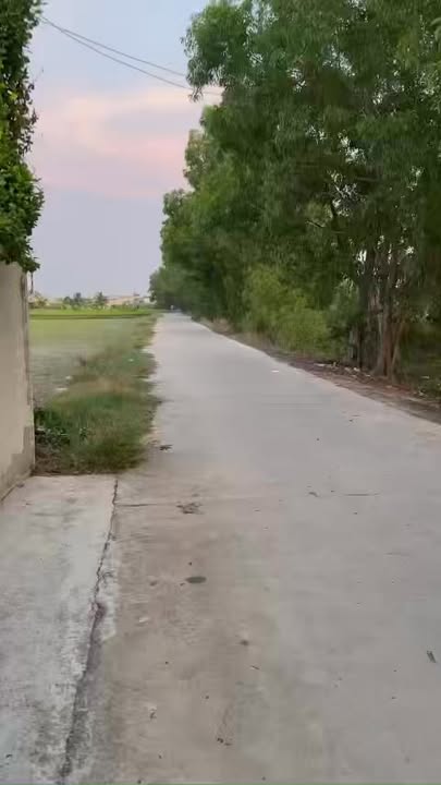 Nhà cấp 4 Đường tỉnh 823D, Huyện Đức Hòa, 120m² giá 1.4 tỷ - Chính chủ bán gấp!