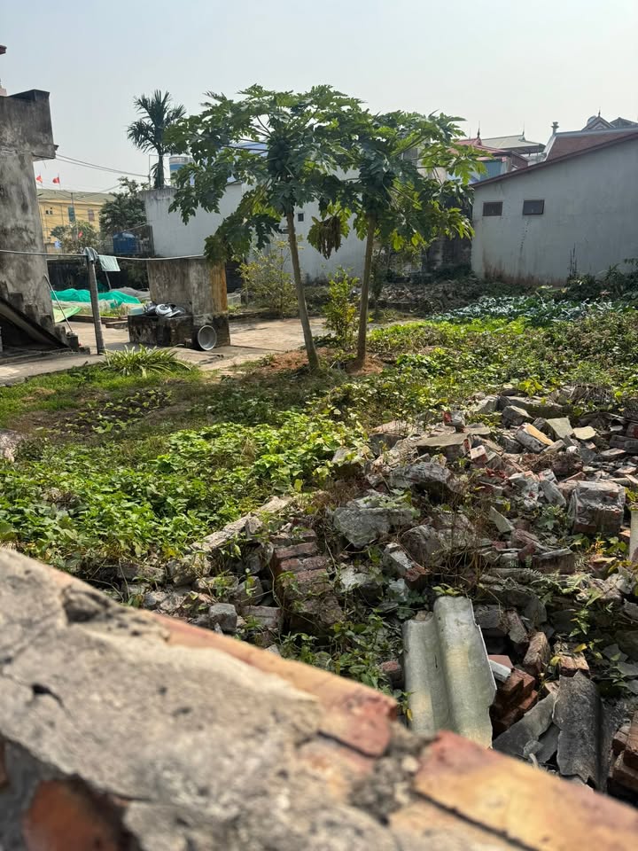 Đất nền xã Ứng Thiên, huyện Ứng Hòa 94,8m² giá chỉ 3 tỷ - Vị trí đắc địa gần hồ điều hòa!