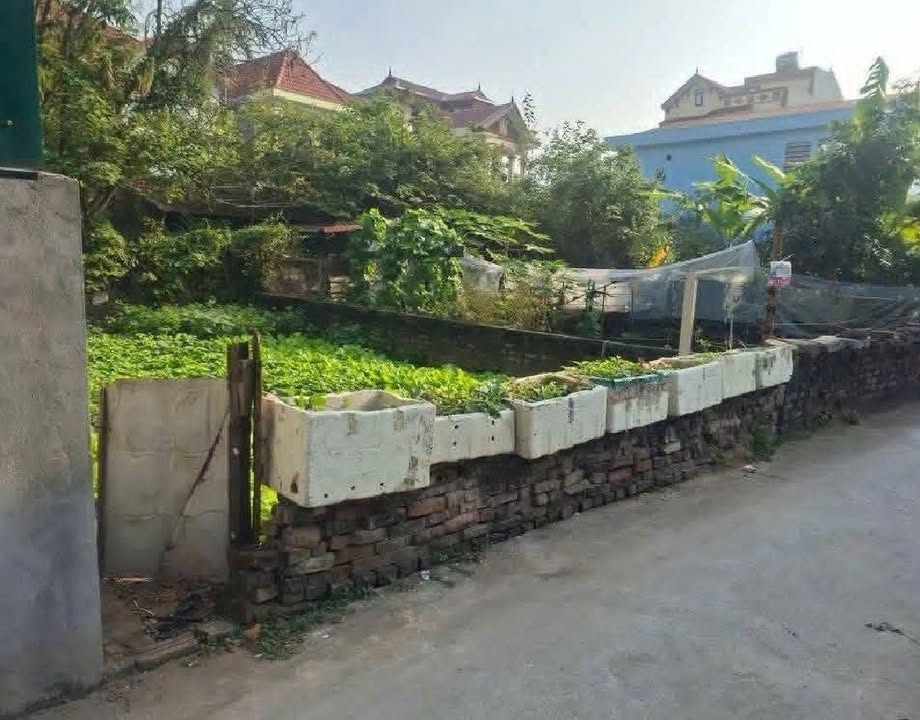 Đất nền Dương Hà, Gia Lâm 82m² - Giá thỏa thuận chính chủ, xây được 2 căn!