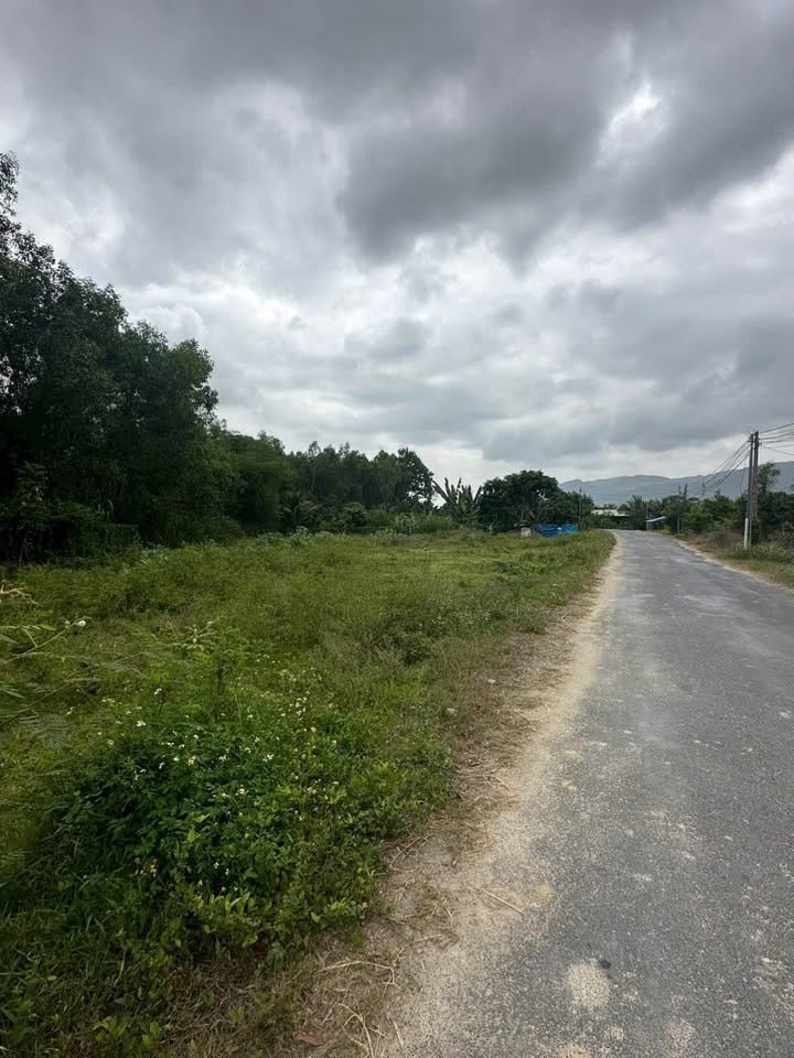 Đất nền Hương lô 39, Huyện Diên Khánh 864,1m² giá 4.32 tỷ - Cơ hội đầu tư hấp dẫn!